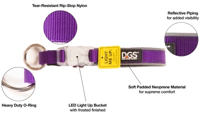 Dog Gone Smart Comet Rechargeable Light Up Dog Collar purple