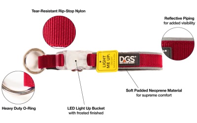 Dog Gone Smart Comet Rechargeable Light Up Dog Collar red