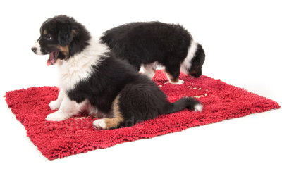 Lotusmatte für kleine Hunde oder Welpen