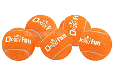 5er Set Tennisbälle zum Spielen