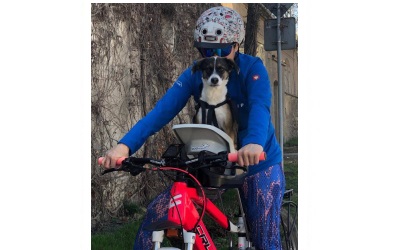 Buddy Dog Rider Hundesitz