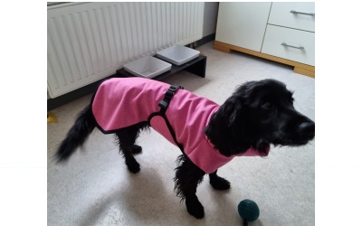 iqo Hundejacke Elegance, rosa/meliert