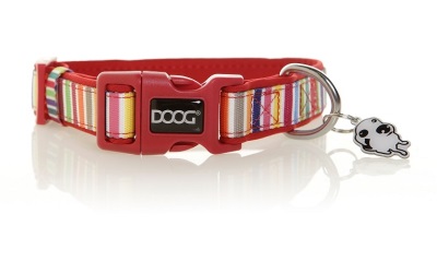 Doog Collar Scooby multi-color striped