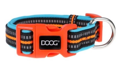 DOOG Neon Collar Beethoven aqua/orange