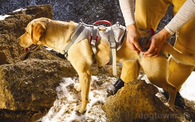 Ruffwear Hundegeschirr, 100% Bewegungsfreiheit