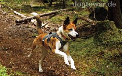 Ruffwear Hundegeschirr, 100% Bewegungsfreiheit