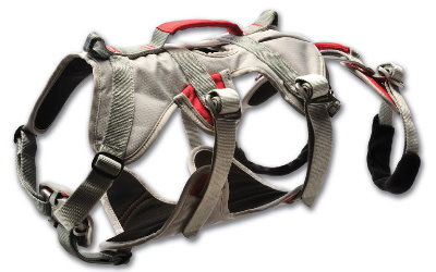 Doubleback Harness - verstellbare Gurte