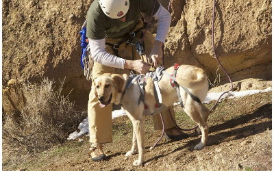 Ruffwear Doubleback Harness im Einsatz