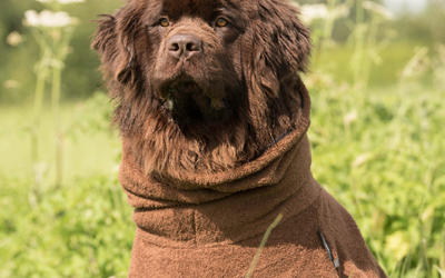 Aus 100% Baumwoll-Frottee gefertigt und garantiert somit keine statische Aufladung (BRAUN)