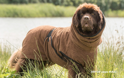 DRYUP cape BIG Hundebademantel, brown