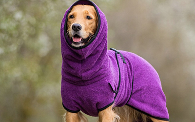 DRYUP cape Hundebademantel, edition bilberry