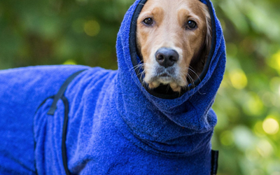 DRYUP cape Hundebademantel, edition blueberry