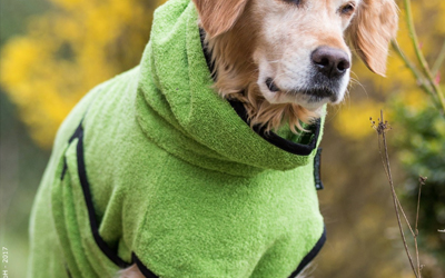 DRYUP cape Hundebademantel, edition kiwi