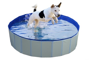 duvo+ Hundepool Blau