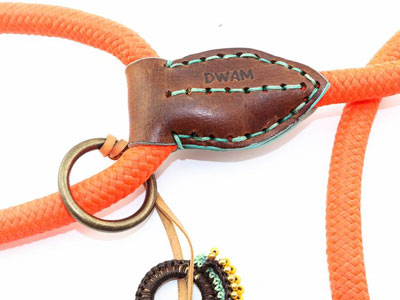 Echter Eyecatcher von DWAM in orange