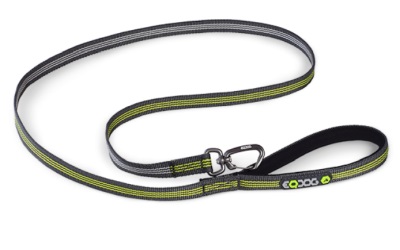 EQDog Classic Leash Hundeleine, dunkelgrau/grün