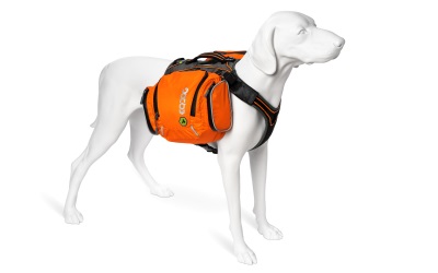 EQDog Flex Pack II Orange