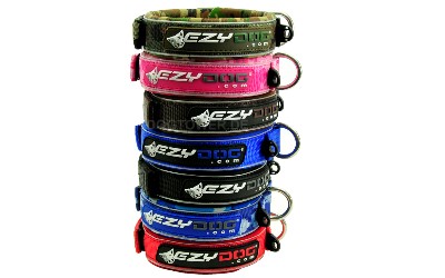 Ezydog Halsband für Hunde