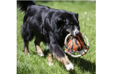 Farm-Land Hunde Frisbee Camo