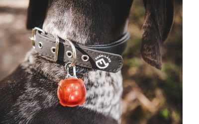 Farmland LED Anhänger Rot