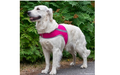 FinNero ATTE Hunde Sicherheitsweste aus Mesh pink