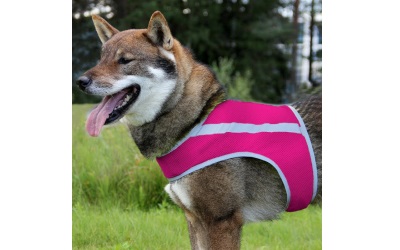 FinNero ATTE Hunde Sicherheitsweste aus Mesh pink