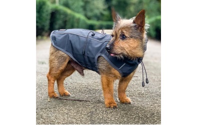 Finnero Sport Softshell Hunde-Jacke grau