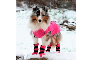 Finnero Sport Softshell Hunde-Jacke pink