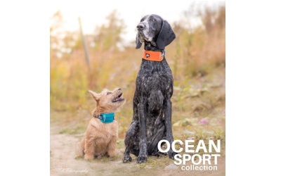 Finnero OCEAN SPORT Fastex Halsband mit breiter Neoprenauflage orange