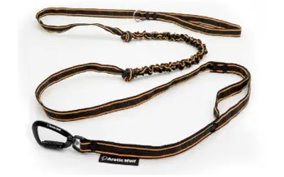 Finnero Power Elastic Leash For Dog orange/black