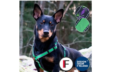 Finnero Rescue verstellbares Hundegeschirr grün