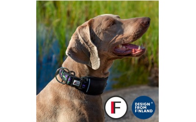 Finnero Rescue verstellbares Hundehalsband schwarz