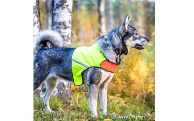 Finnero Ukko Jagdweste für Jagdhunde