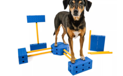 Fit Paws Fit Kinect Xtra Trainingssystem für Hunde