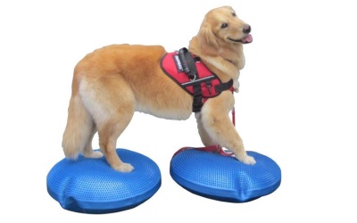 FitPAWS® Balance Disc blue