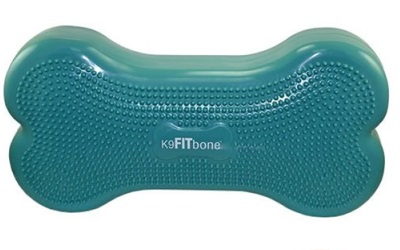 FitPAWS® CanineGym® K9FITbone aqua