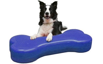 FitPAWS® Giant K9FITbone sky blue