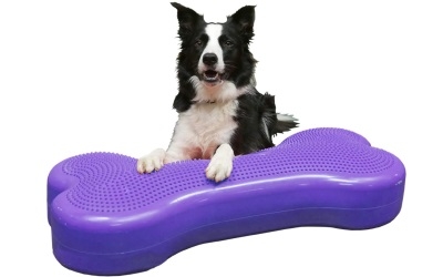 FitPAWS® Giant K9FITbone violet