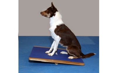 FitPAWS® Giant Rocker Board