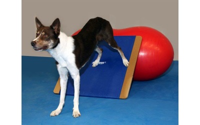 FitPAWS® Giant Rocker Board