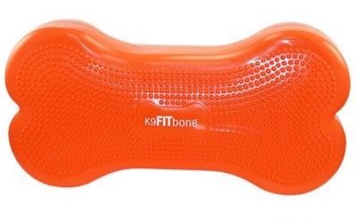 FitPAWS® CanineGym® K9FITbone orange