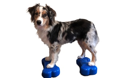 FitPAWS® Mini K9FITbone 2er-Set, blau