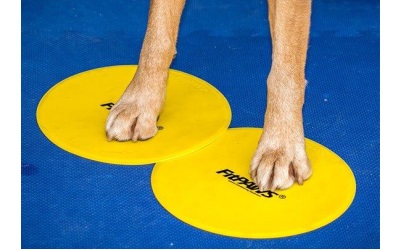 FitPAWS Targets