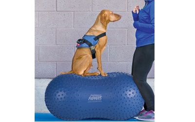 FitPAWS® TRAX Peanut