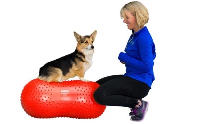 FitPAWS® TRAX Peanut