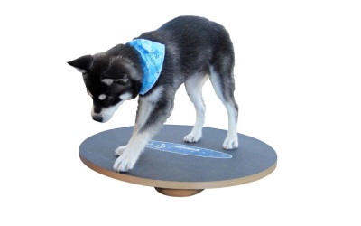 FitPAWS® Wobble Board