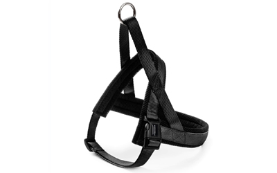 Freezack Nordic Basic Hundegeschirr, schwarz