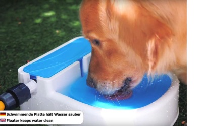 Garden Auto Filling Fountain Trinkbrunnen für Hunde