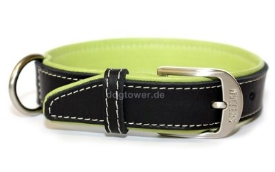 Wolters Cat and Dog Lederhalsband Terranova, schwarz/apfel