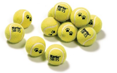 Hunde- Tennisball- Set